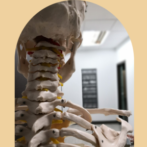 comment fonctionne osteopathie